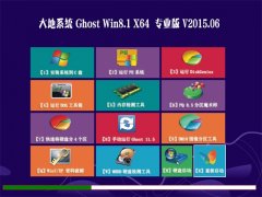 大地 GHOST WIN8.1 X64 专业版 2015.06