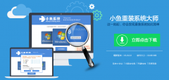 小鱼一键重装下载|小鱼一键重装系统工具v7.7