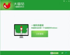 大番茄一键重装系统下载|大番茄一键重装系统工具v2.5.1纯净版