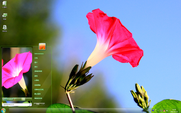清新的牵牛花一枝独秀Win10主题
