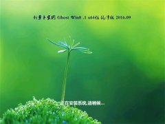新萝卜家园Ghost Win8.1 64位 纯净版 2016年09月