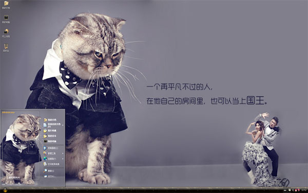 帅气猫模特win8主题