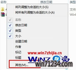 选择“其他”