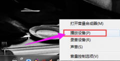 秋叶w8系统笔记本麦克风,黑鲨教您笔记本麦克风有杂音怎么解决