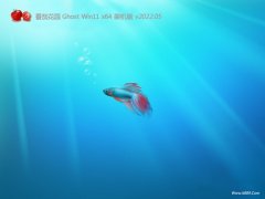 <font color='#FF0000'>番茄花园最新win11 64位共享无广告版v2022.05</font>