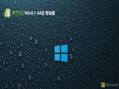 <font color='#333333'>ײwin8.164λؿڲv2025.05</font>