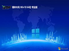 ľwin10޹ͨð64λv2025.05