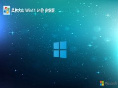 <font color='#000099'>风林火山v2025.05最新win11 64位优质高效版</font>