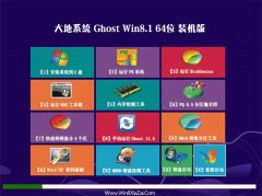 大地系统Win8.1 清爽装机版 2021(64位)