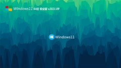 系统之家Win11 专业装机版64位 2021.09